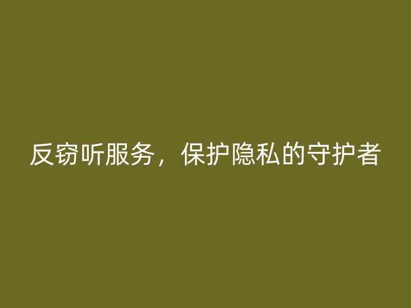 反窃听服务，保护隐私的守护者